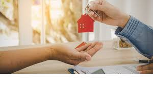 A Buyer's Guide to Understanding Property Law in New Zealand