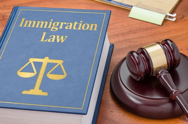 Essential Professional Services: Navigating Insurance and Immigration Law