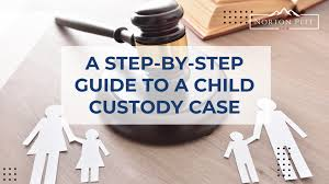 Key Considerations in Child Custody Cases: Understanding the Roles of Petitioner and Respondent
