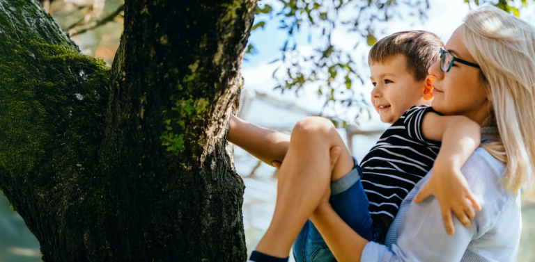 Family Law Attorney Wexford PA – How to Navigate Divorce, Custody, and Support Issues