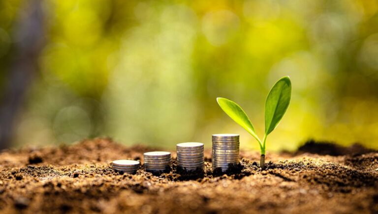 Banking and Finance in Armenia A Maturing Sector and What It Means for Investors