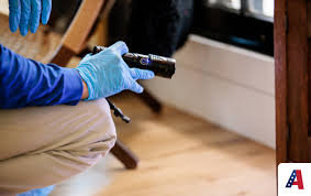 Pest Control Brentwood: Before Small Pest Problems Become Major Issues